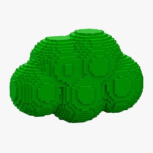 3D Green Voxel Cloud