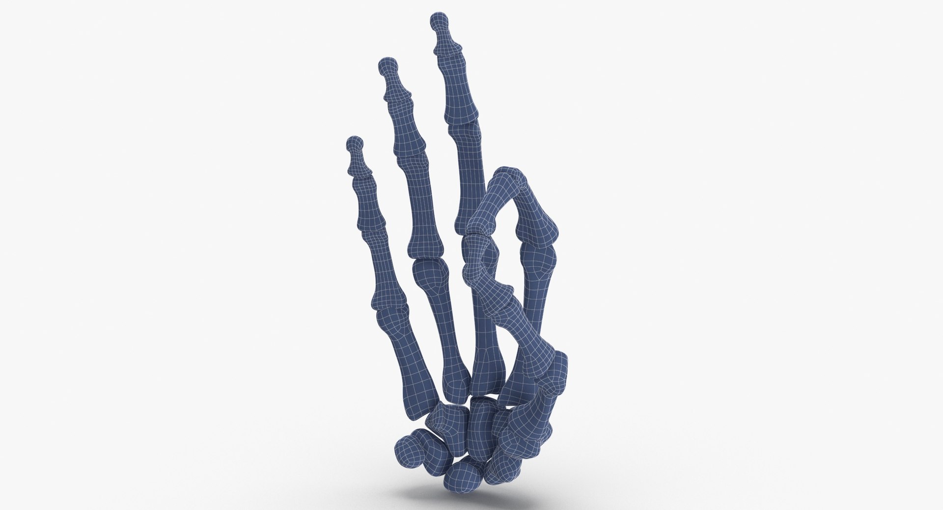 human hand bones white 3D model https://p.turbosquid.com/ts-thumb/Te/0S0sLk/46sIdmwA/human_hand_bones_hole_sign_wireframe_0002/jpg/1597827454/1920x1080/fit_q87/5d707334f83800b103aa814d8c80a9371007dfe8/human_hand_bones_hole_sign_wireframe_0002.jpg
