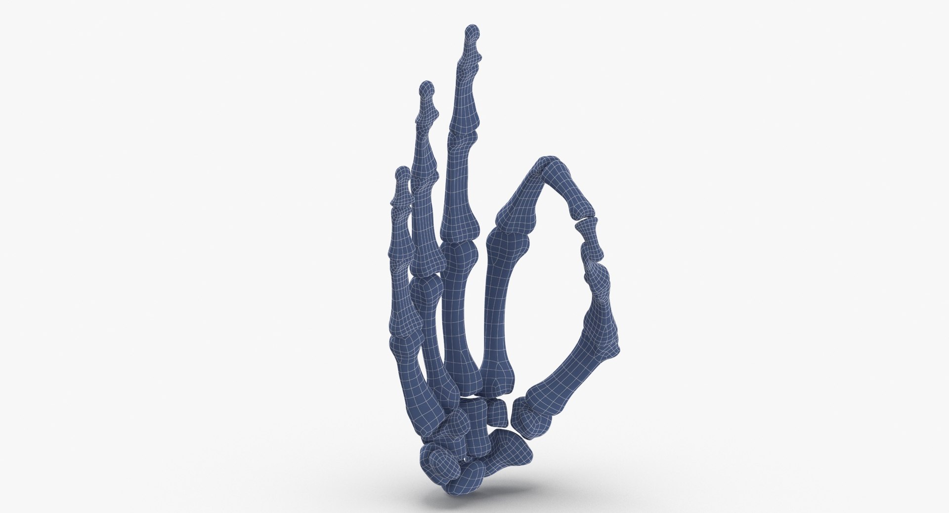 human hand bones white 3D model https://p.turbosquid.com/ts-thumb/Te/0S0sLk/83Hcr8rQ/human_hand_bones_hole_sign_wireframe_0003/jpg/1597827454/1920x1080/fit_q87/656f11833b80fcf2871ae689e7e23c7c132ff7ba/human_hand_bones_hole_sign_wireframe_0003.jpg