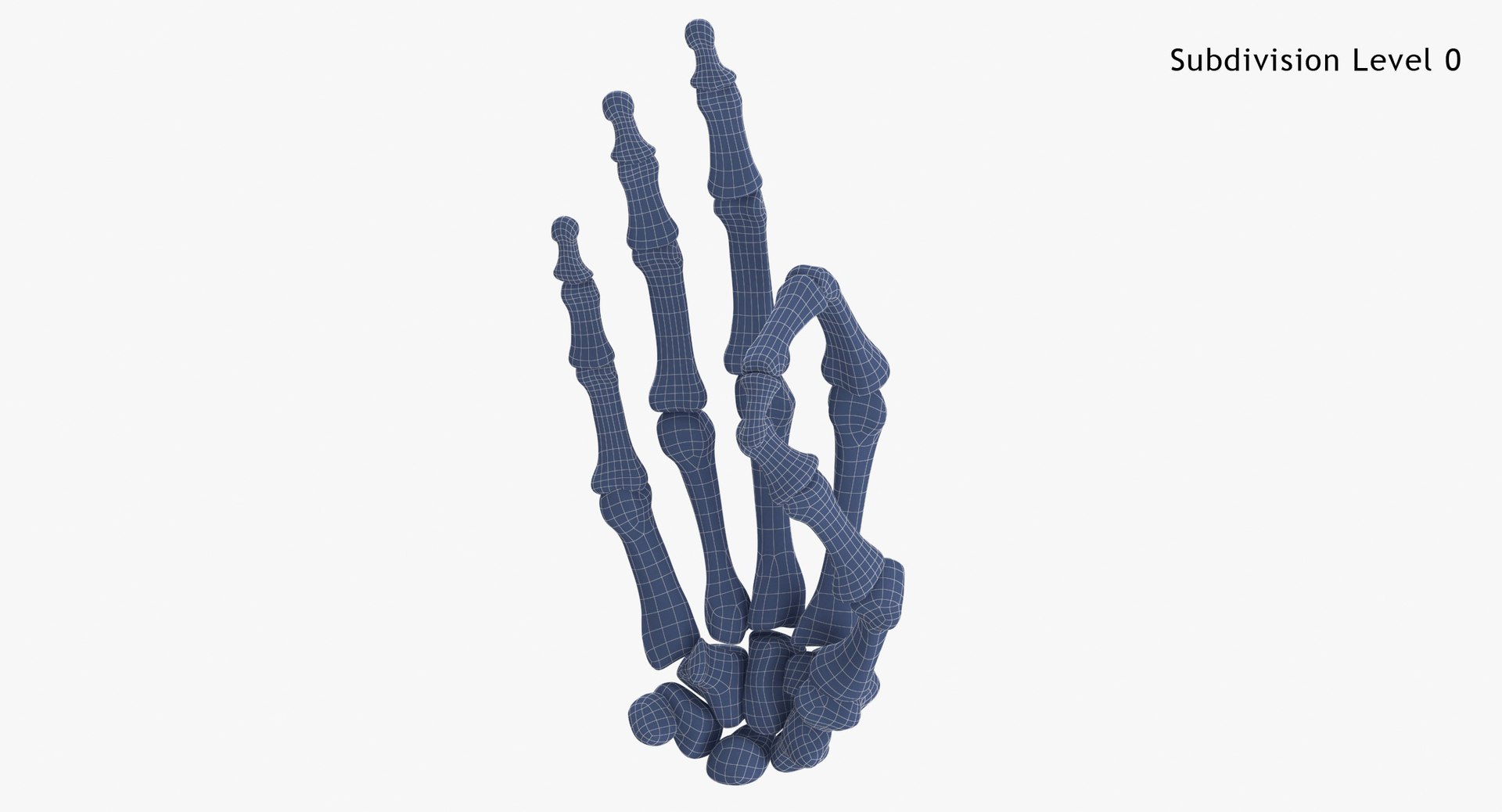 human hand bones white 3D model https://p.turbosquid.com/ts-thumb/Te/0S0sLk/JKTBp4wf/human_hand_bones_hole_sign_wsubdiv0_0001/jpg/1597827455/1920x1080/fit_q87/87b485f07d935b13a6fd6f4b94e5487dbb4f2304/human_hand_bones_hole_sign_wsubdiv0_0001.jpg