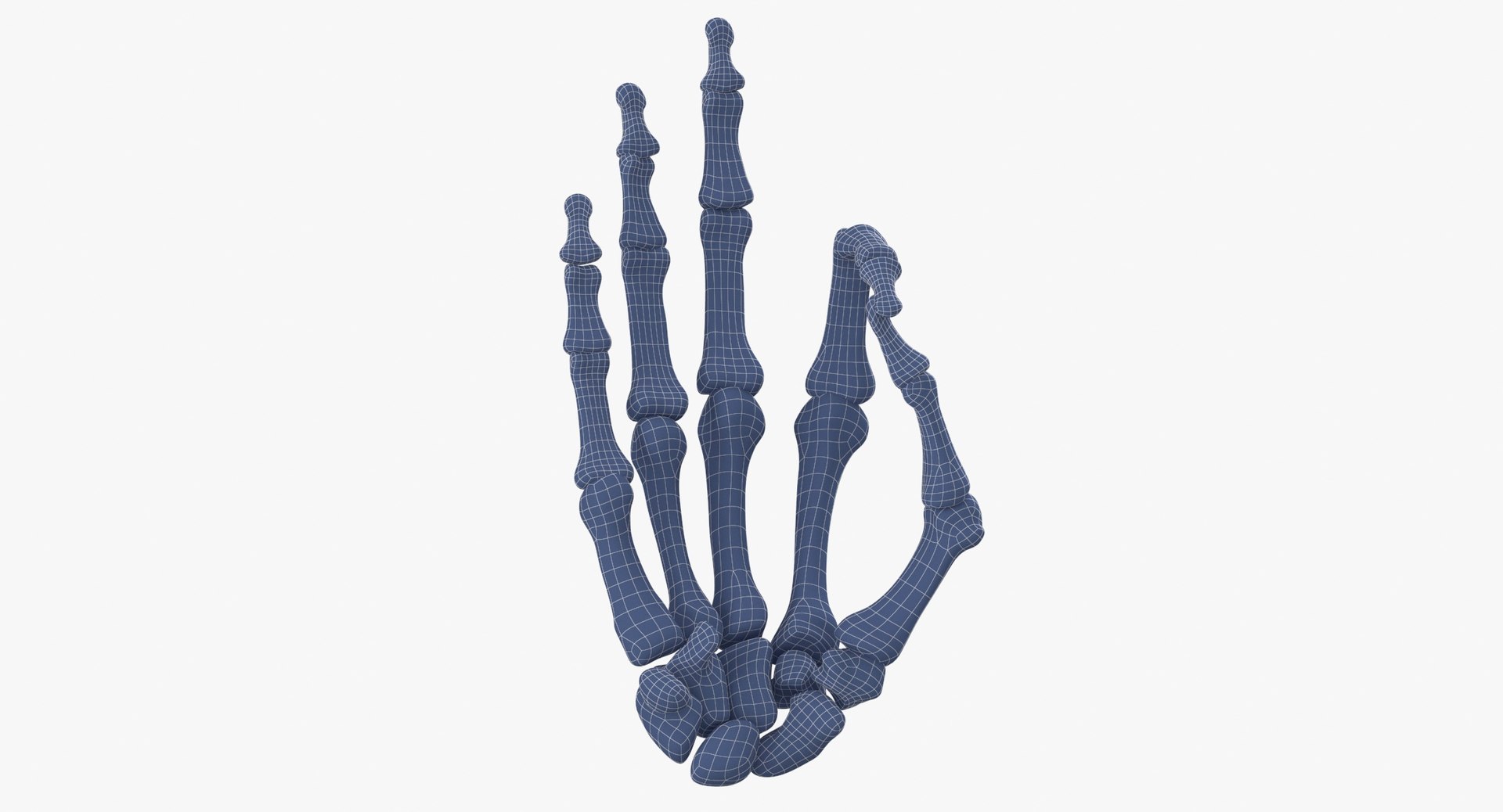 human hand bones white 3D model https://p.turbosquid.com/ts-thumb/Te/0S0sLk/qCnGsZLm/human_hand_bones_hole_sign_wireframe_0007/jpg/1597827455/1920x1080/fit_q87/37e45c5657067dea49debcbf0c355b560e5f1e36/human_hand_bones_hole_sign_wireframe_0007.jpg