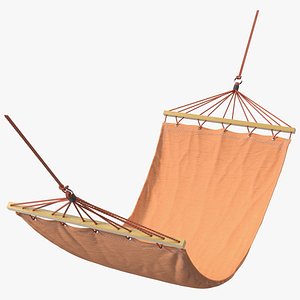 Deluxe Hammock