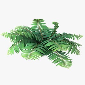 Cartoon Fern 03 3D model