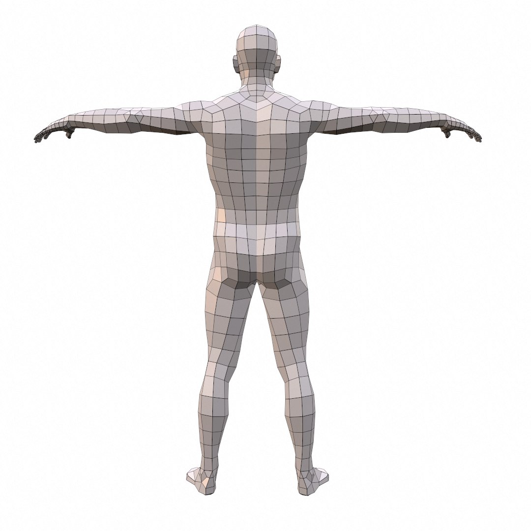 anatomically correct 3d obj