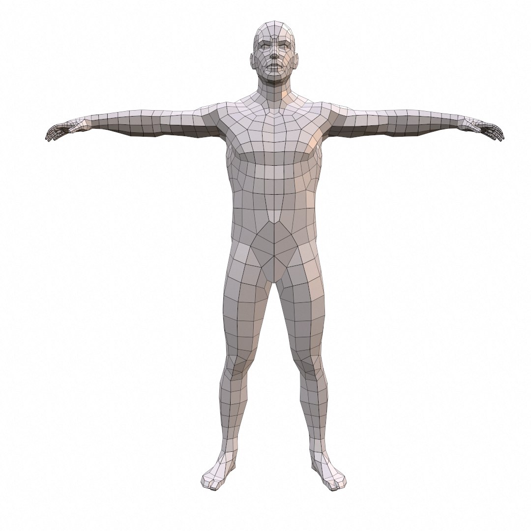 anatomically correct 3d obj