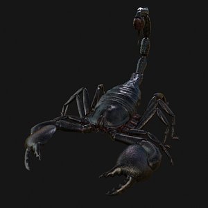 3D scorpion black