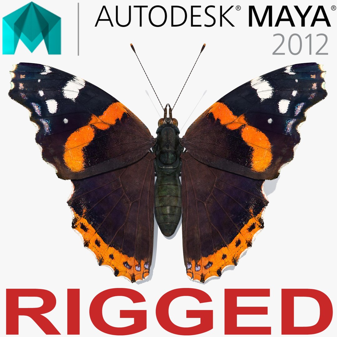 Vanessa Atalanta Butterfly Rigged for Maya 3D model preview