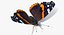 vanessa atalanta butterfly rigged 3D model