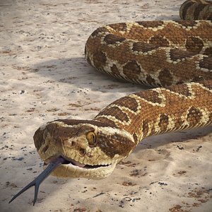 3D Light Rattlesnake Crawls Animated Rigged