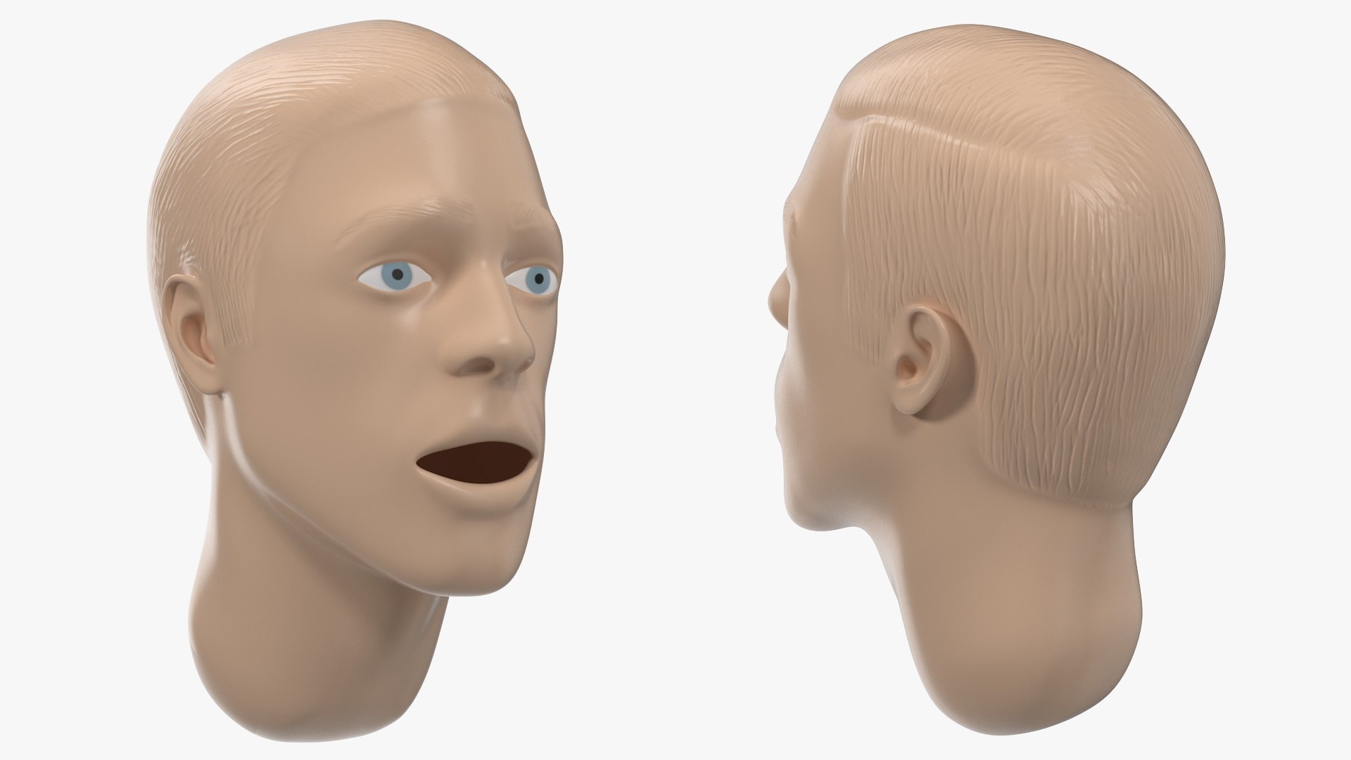 Manikin Head 3D model preview