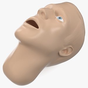 Manikin Head