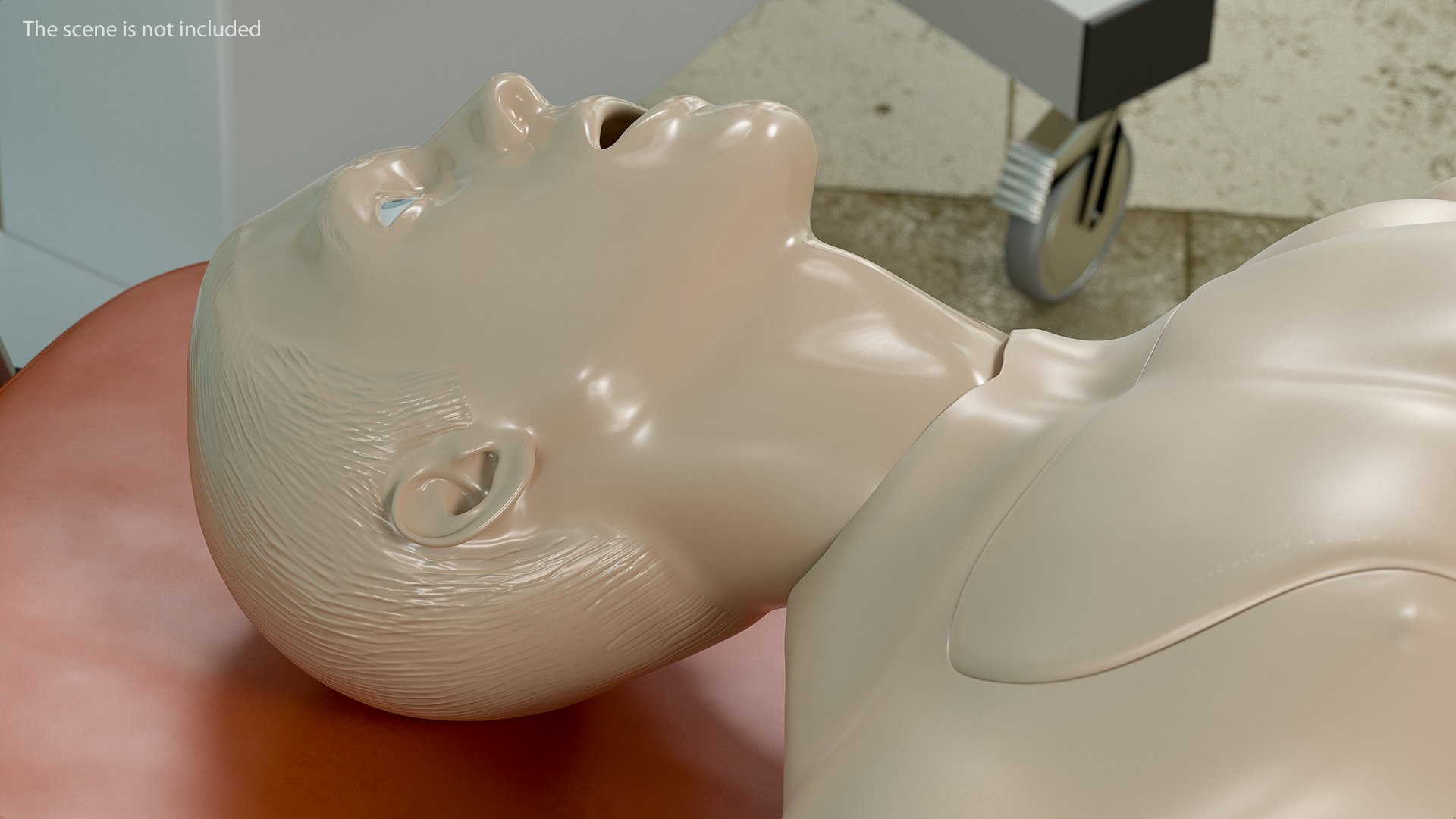 3D manikin head model https://p.turbosquid.com/ts-thumb/Te/tONKLH/edW3PyO3/manikinheadc4dmodel004/jpg/1577403476/1920x1080/fit_q87/cf9e2dd217e153643bed49e389bb96addbbbfd5e/manikinheadc4dmodel004.jpg
