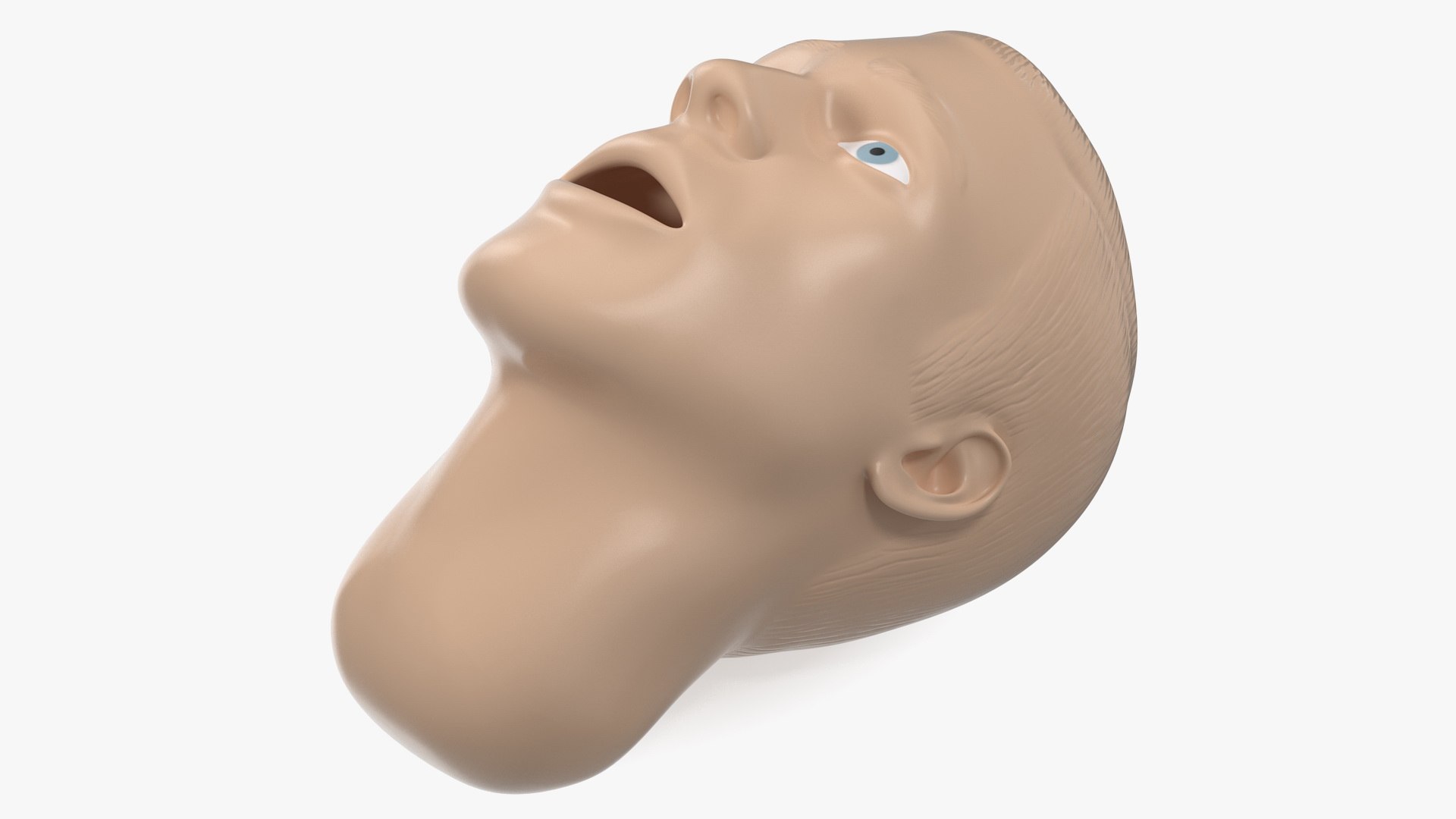 3D manikin head model https://p.turbosquid.com/ts-thumb/Te/tONKLH/s5QVTyXs/manikinheadc4dmodel008/jpg/1577403494/1920x1080/fit_q87/52d7603f9c77e2f7157e0c54b686c699af300611/manikinheadc4dmodel008.jpg