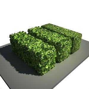 3d model levels