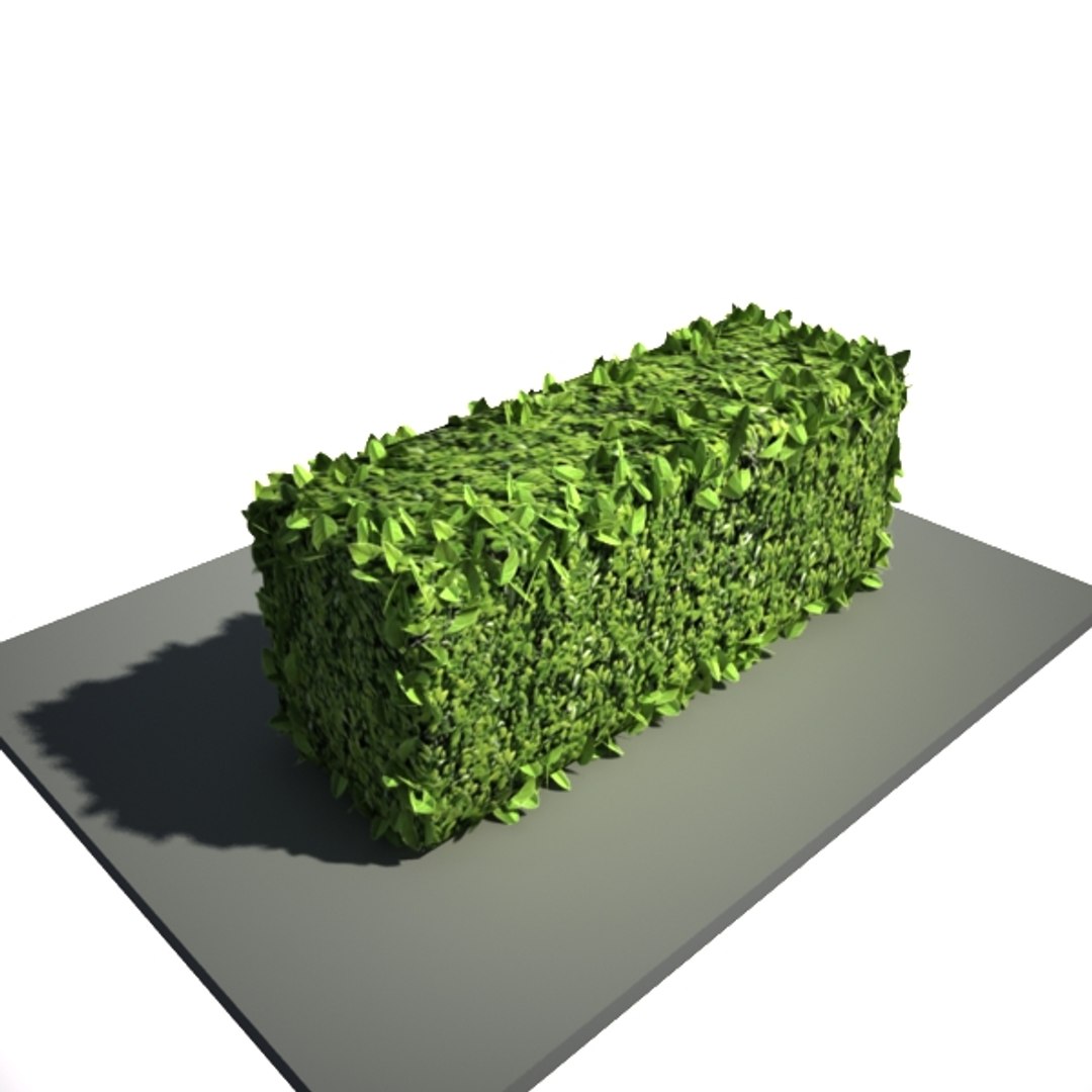 3d model levels https://p.turbosquid.com/ts-thumb/Te/vmmgrm/GLuSiMJf/lod2/jpg/1328881869/1920x1080/fit_q87/d15687a47c573fee35380c4b4555d718ce4688fd/lod2.jpg