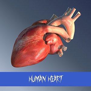 human heart man 3ds