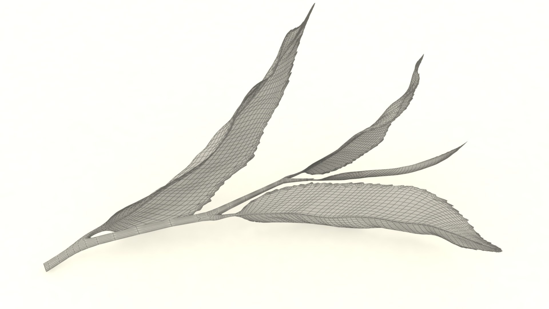 tea sprig 3D https://p.turbosquid.com/ts-thumb/Tf/DGtzVN/hO/6/jpg/1619756721/1920x1080/fit_q87/3bea84421d1eea4e95442c0bd14bc74eb3a54324/6.jpg