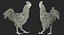 brown hen rigged 3d max