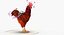 brown hen rigged 3d max