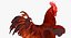 brown hen rigged 3d max