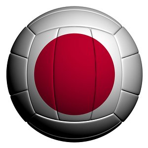 volleyball ball model