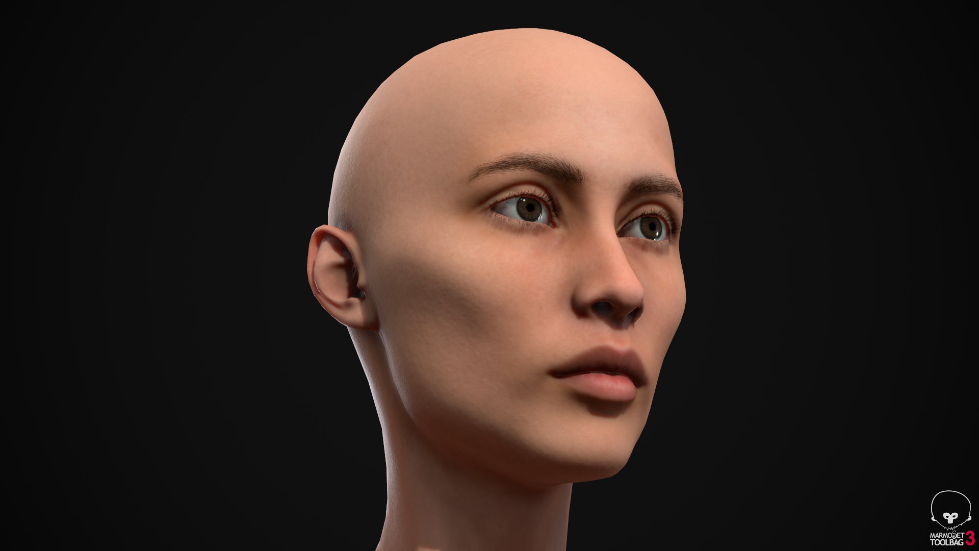 3D Skinny women pack https://p.turbosquid.com/ts-thumb/Tf/HIbqeJ/An/screenshot028/png/1618406591/1920x1080/fit_q87/dad437c7a9763ffd592a4a33c10f9025a8604d21/screenshot028.jpg