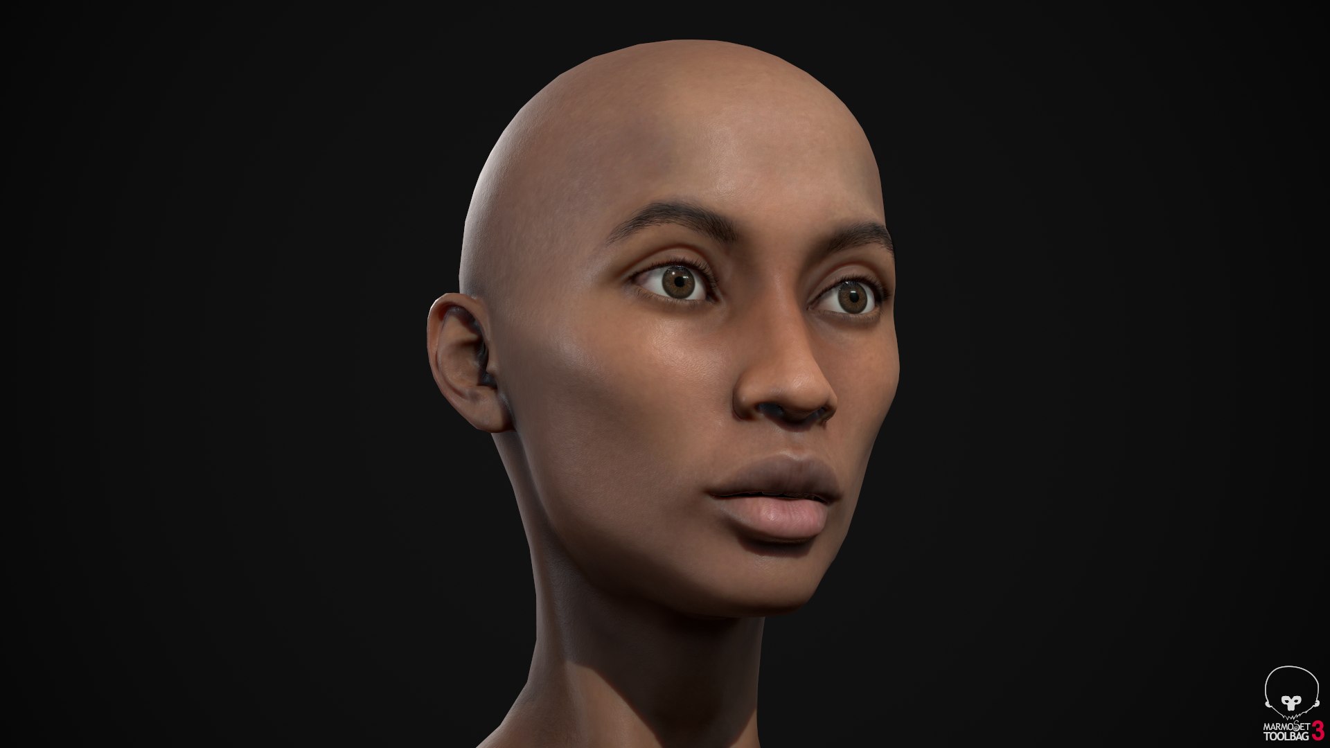 3D Skinny women pack https://p.turbosquid.com/ts-thumb/Tf/HIbqeJ/GM/026_screenshot051/png/1618407997/1920x1080/fit_q87/4c8ca9bf0c381958f923bcb023326cc05f75b1ce/026_screenshot051.jpg