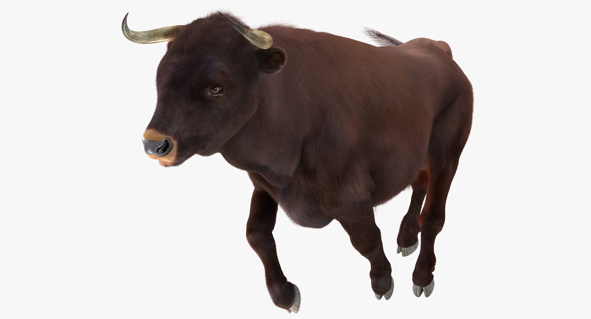 Bull Running Pose with Fur 3D model preview