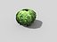 shrub