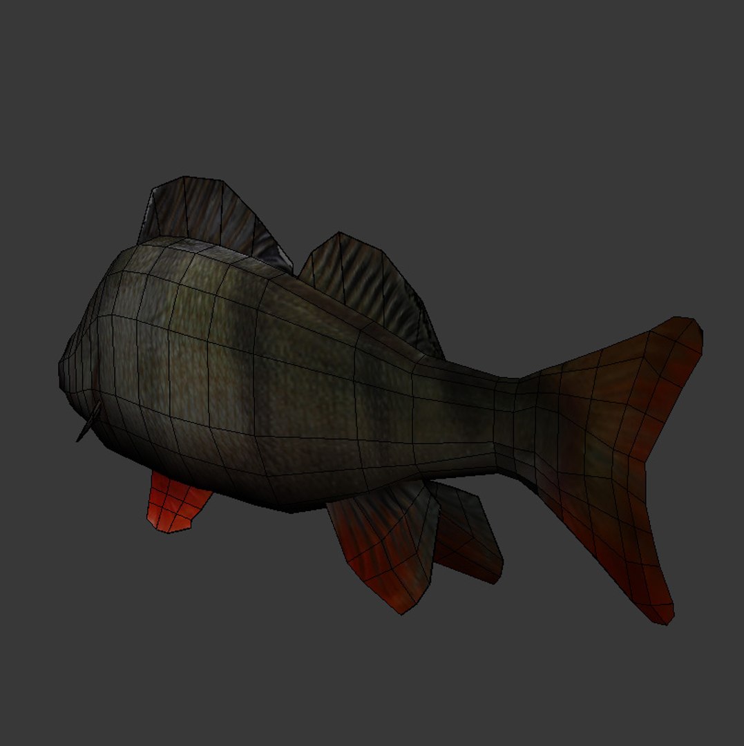 max perch modeled