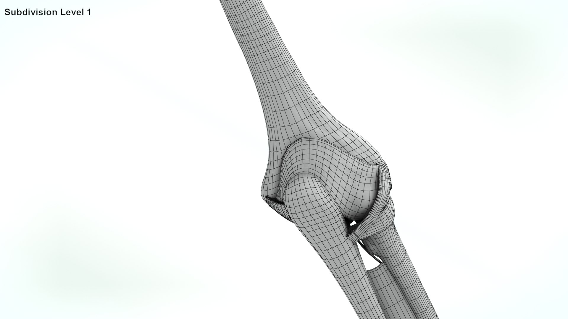 upper limb skeleton 3D model https://p.turbosquid.com/ts-thumb/Tf/hIM9sK/0s/wire0006/jpg/1621767173/1920x1080/fit_q87/e33863b75a47e940bb5a85bdd97351524264aeca/wire0006.jpg