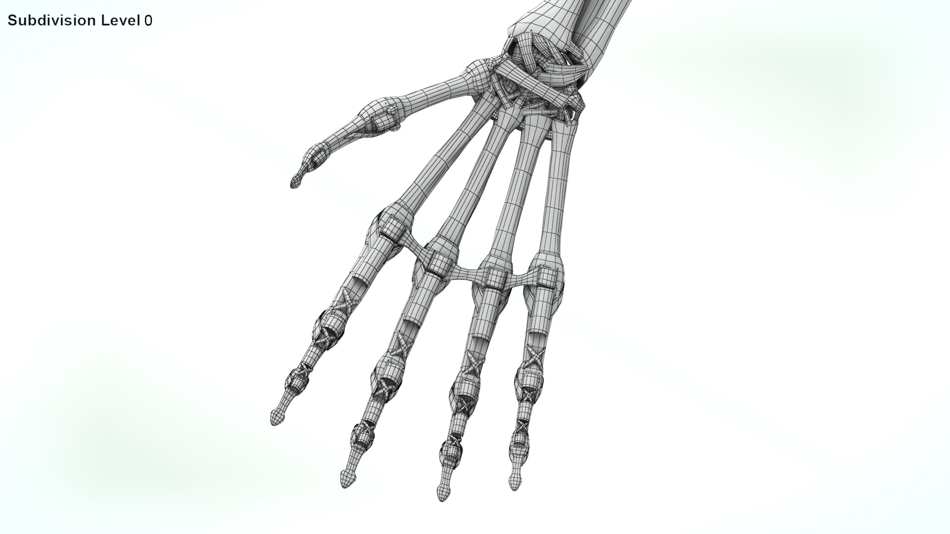 upper limb skeleton 3D model https://p.turbosquid.com/ts-thumb/Tf/hIM9sK/A5/wire0003copy/jpg/1621767168/1920x1080/fit_q87/85c4b695d174c1a9bca3fd42e2904f67cc5dcc52/wire0003copy.jpg