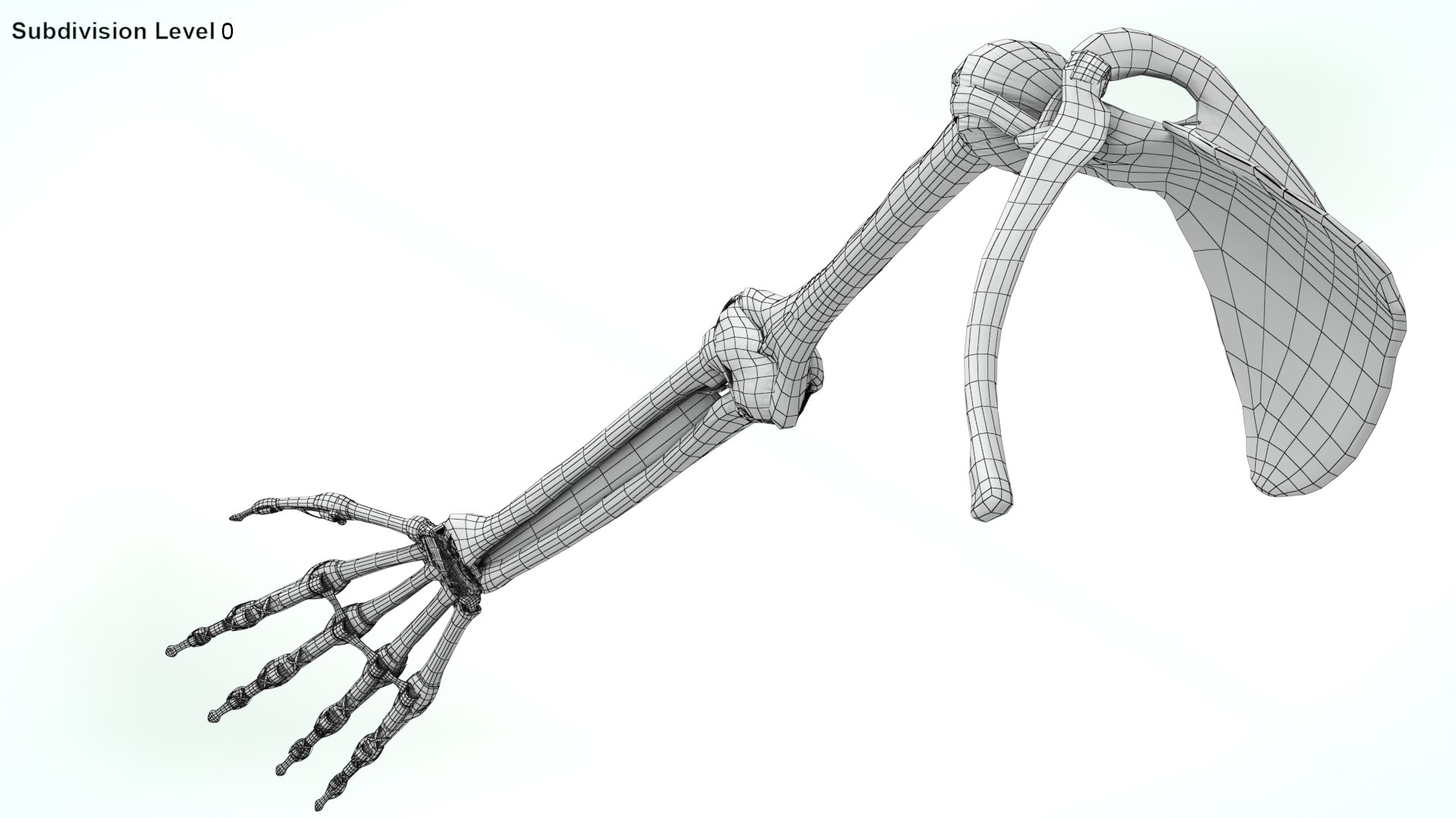 upper limb skeleton 3D model https://p.turbosquid.com/ts-thumb/Tf/hIM9sK/bL/wire0010copy/jpg/1621767163/1920x1080/fit_q87/32c57319a810952ed6b54ad55cb577ffd8c3b1fa/wire0010copy.jpg