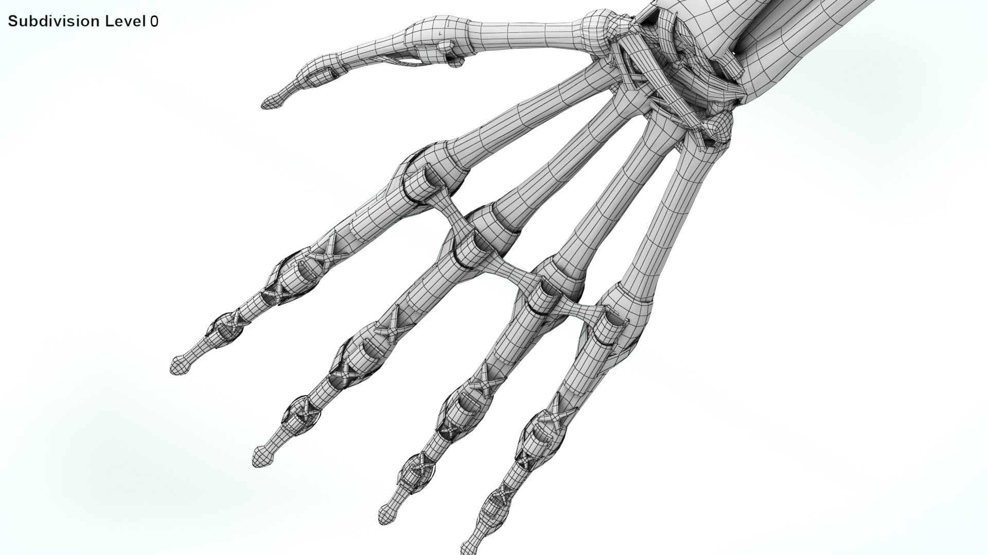 upper limb skeleton 3D model https://p.turbosquid.com/ts-thumb/Tf/hIM9sK/eq/wire0004copy/jpg/1621767191/1920x1080/fit_q87/6176b0a559aa7ec44f715d0ffde28d85036e595b/wire0004copy.jpg