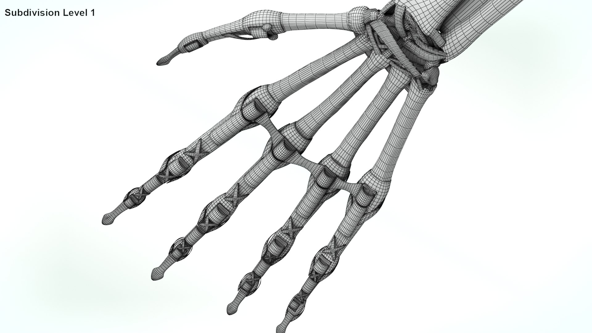upper limb skeleton 3D model https://p.turbosquid.com/ts-thumb/Tf/hIM9sK/f8/wire0004/jpg/1621767192/1920x1080/fit_q87/745227cafcdcf7ffc99491c5f82e81c53caee4a1/wire0004.jpg