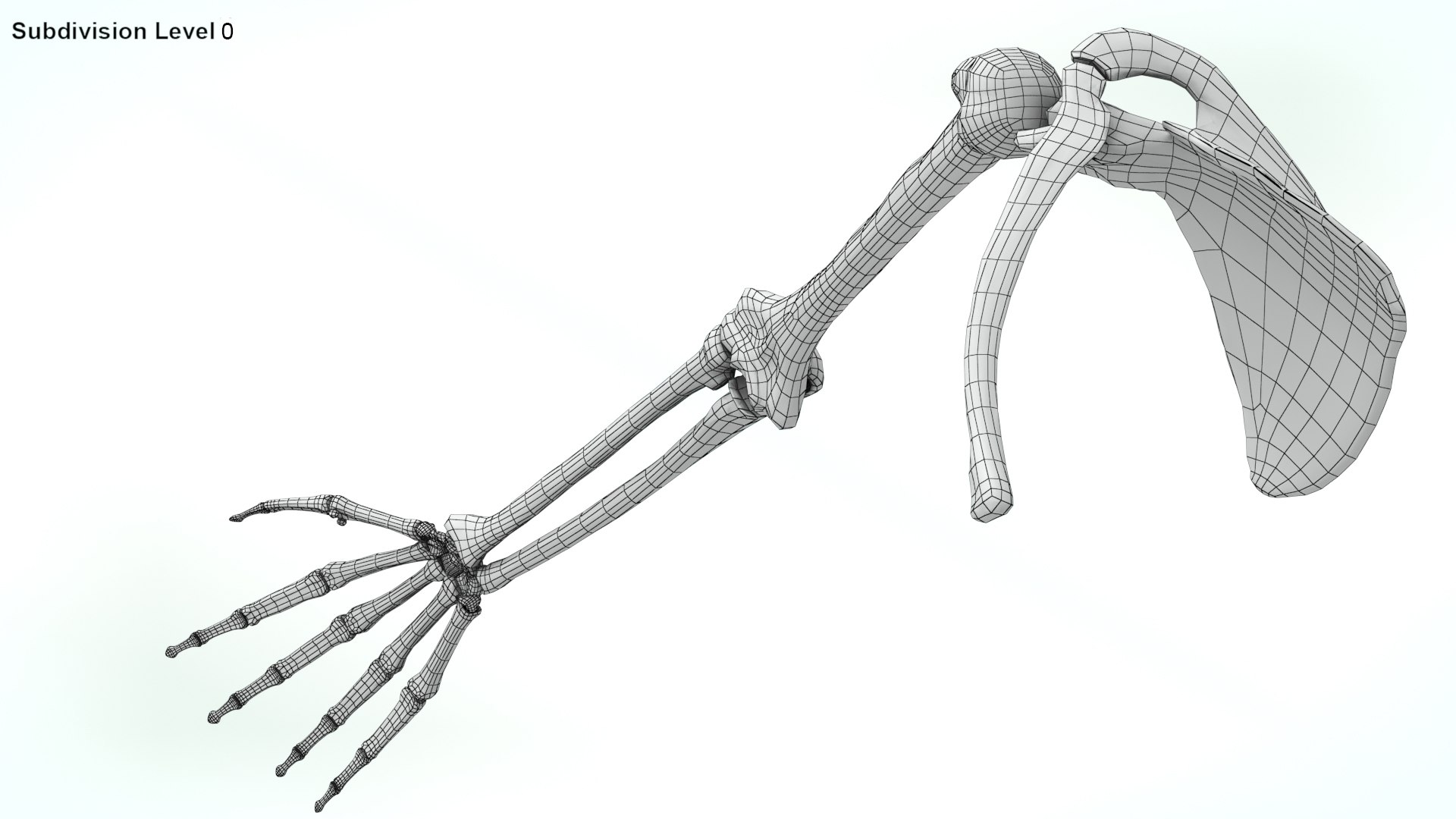 upper limb skeleton 3D model https://p.turbosquid.com/ts-thumb/Tf/hIM9sK/i0/wire0009copy/jpg/1621767178/1920x1080/fit_q87/9d7cbb0ad58fdbec68e5a032b62385dce6a3d8ec/wire0009copy.jpg
