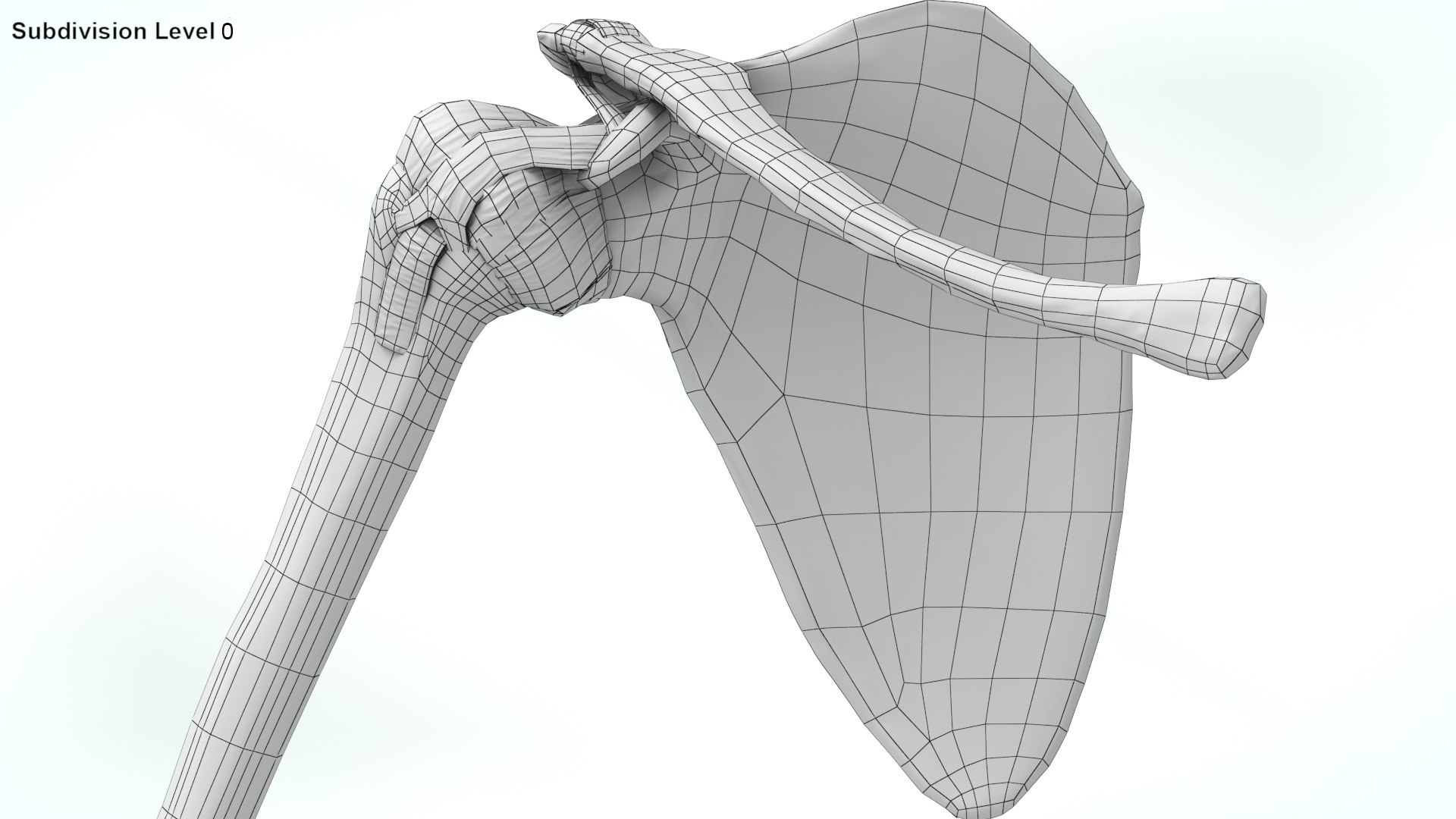 upper limb skeleton 3D model https://p.turbosquid.com/ts-thumb/Tf/hIM9sK/tr/wire0007copy/jpg/1621767184/1920x1080/fit_q87/7a139427fa906cf87c2f5c58ae5f540dd42c2180/wire0007copy.jpg