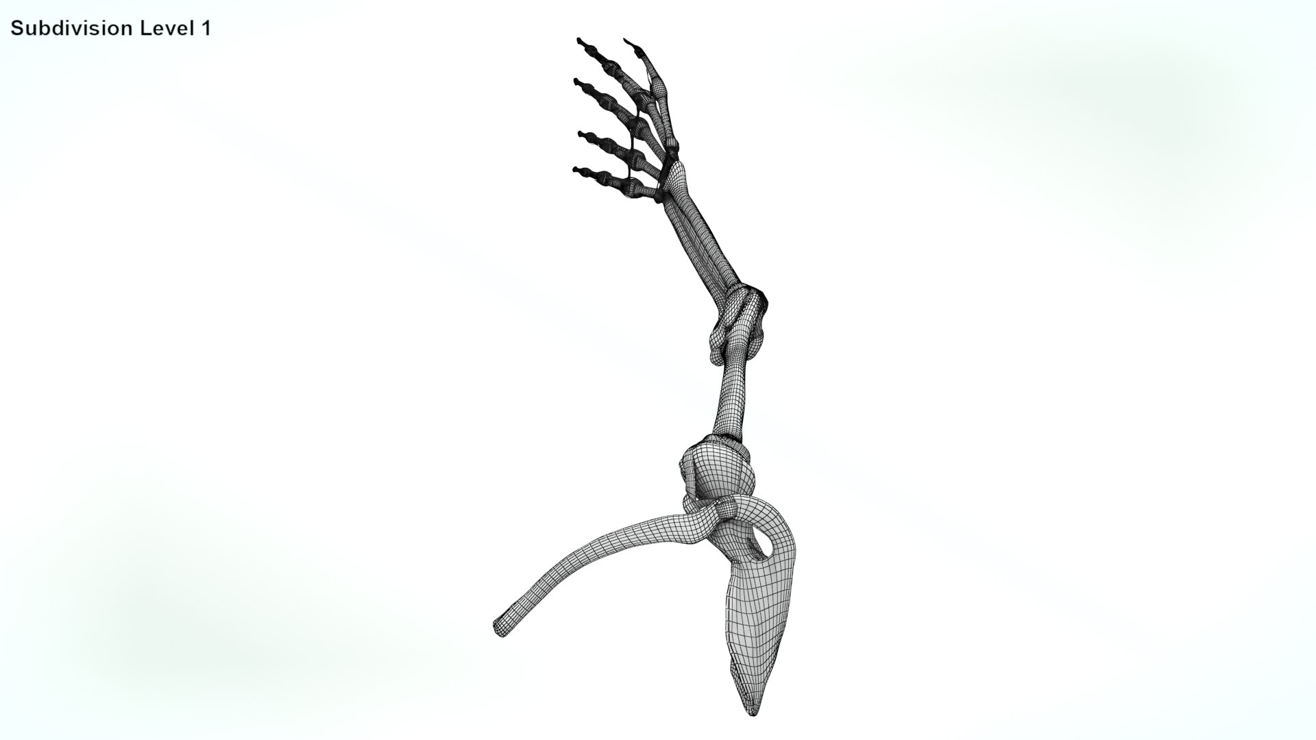 upper limb skeleton 3D model https://p.turbosquid.com/ts-thumb/Tf/hIM9sK/vE/wire0002/jpg/1621767158/1920x1080/fit_q87/94a24b214023ed3fdb253459c55aed18db880a0c/wire0002.jpg