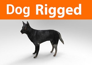 3D german shepherd dog rigged model