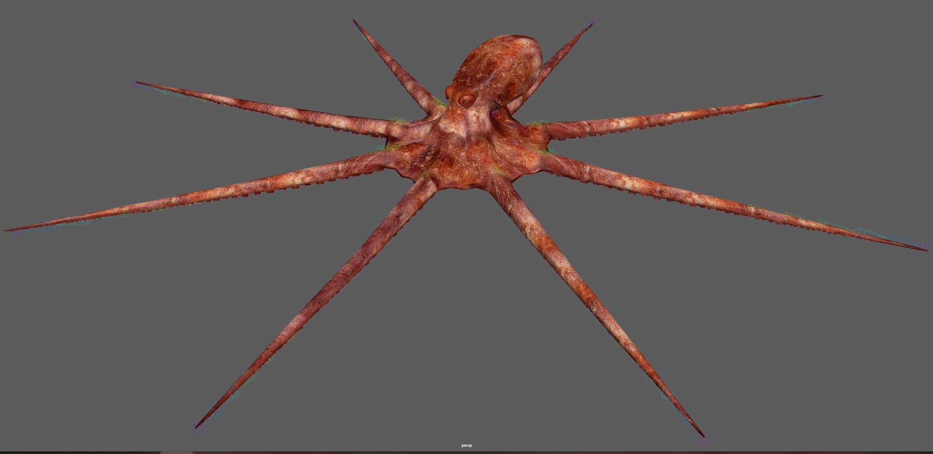 3D Octopus Rigged - TurboSquid 1881007