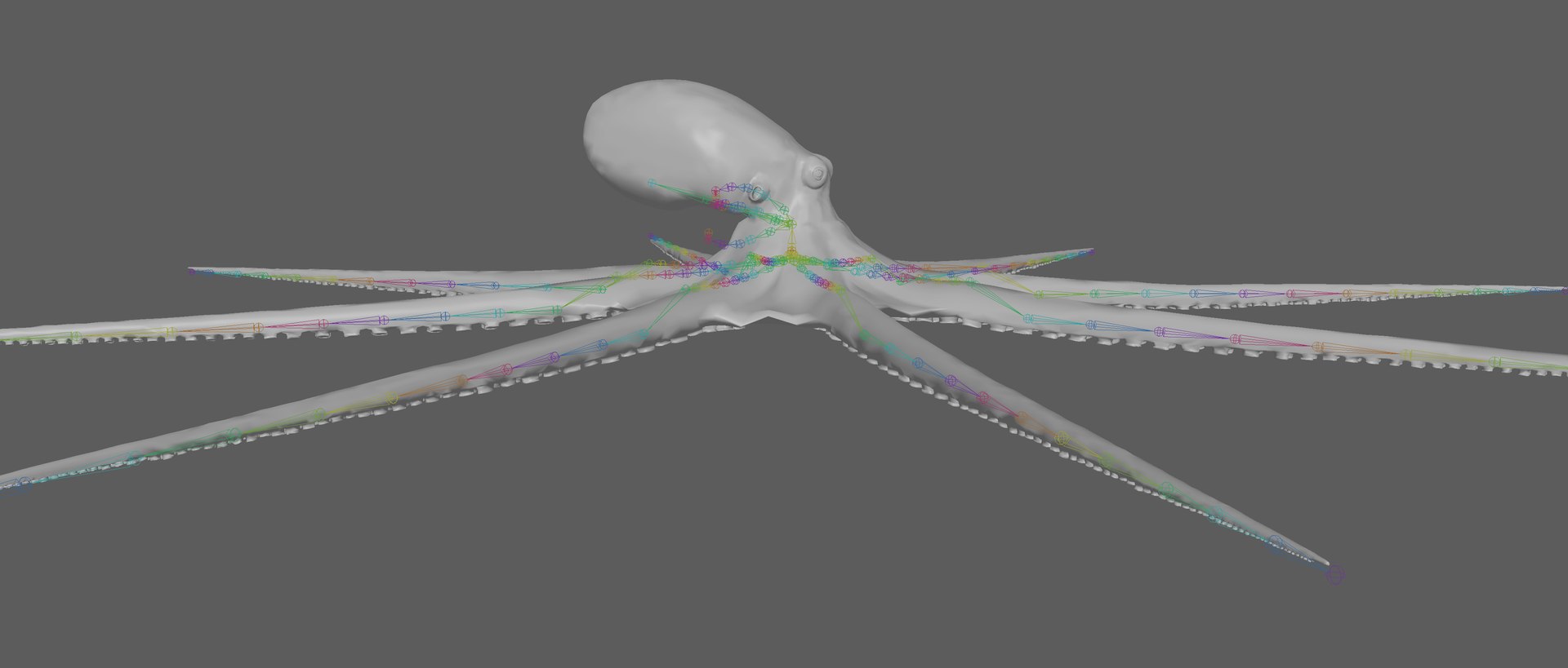 3D Octopus Rigged - TurboSquid 1881007