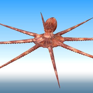 Octopus Rigged