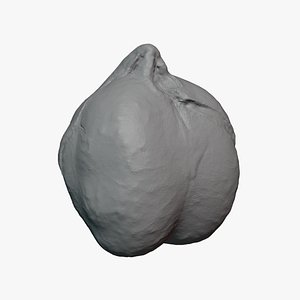 3D Boiled Chickpea 02 - For 3D Print