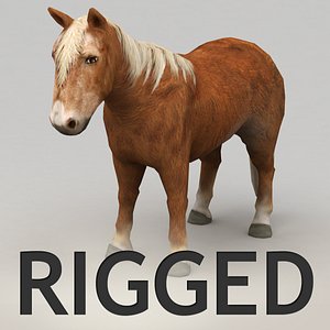 3d rigged pony model