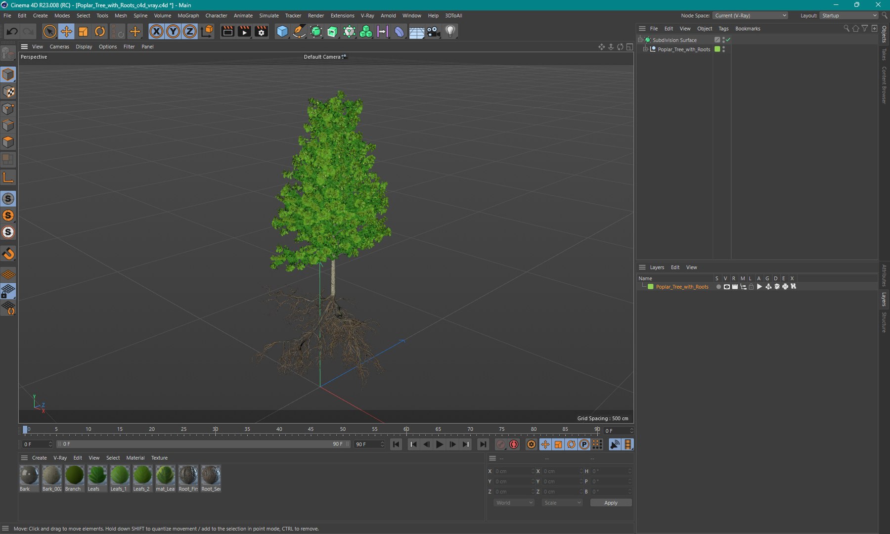 3D Poplar Tree With Roots - TurboSquid 2325165