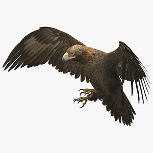 3D golden eagle rigged animate