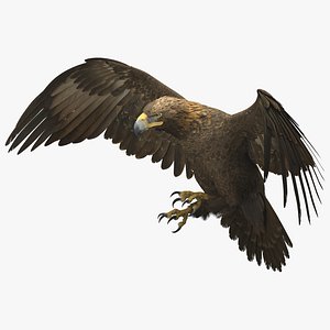 Golden Eagle Rigged