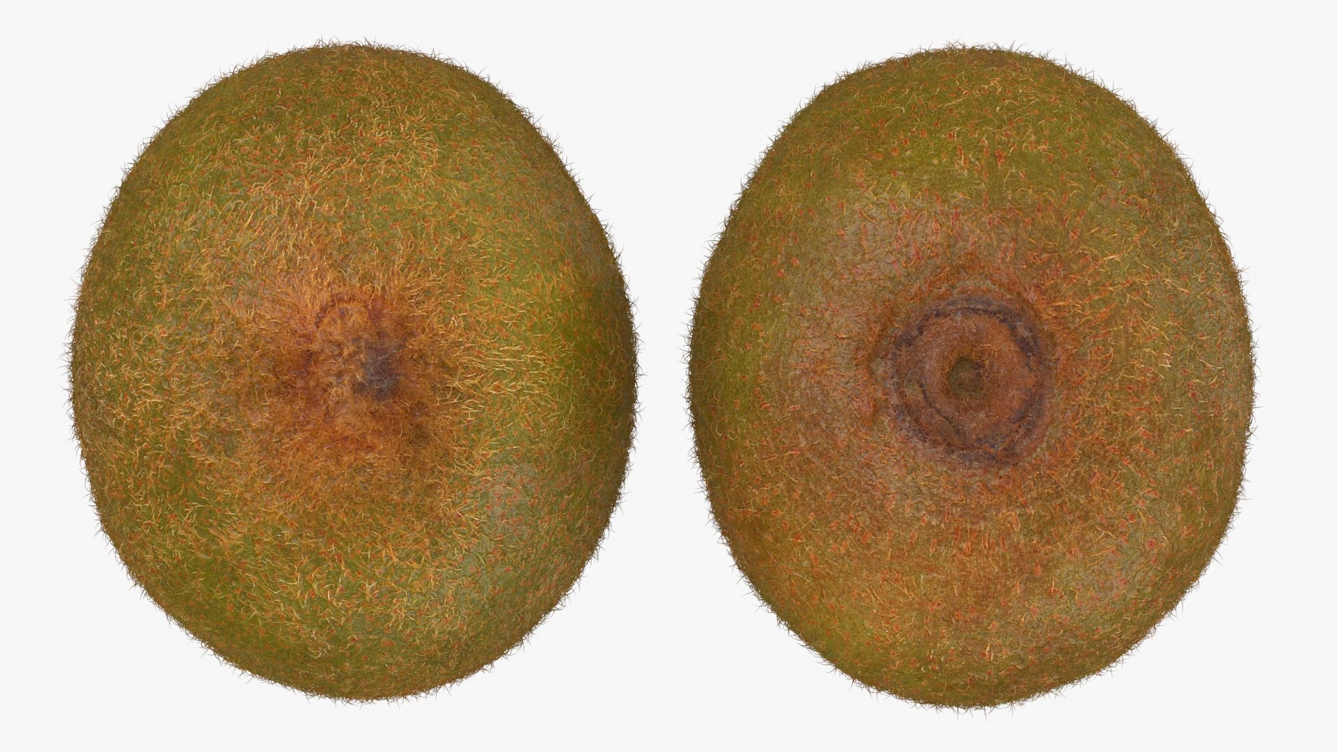 3D Whole Kiwi Collection https://p.turbosquid.com/ts-thumb/Tg/eb6zv4/9R/kiwi02_a0002/jpg/1722710135/1920x1080/fit_q87/158c3bc642cf3f7f2b10897890f692182b0bdfc4/kiwi02_a0002.jpg