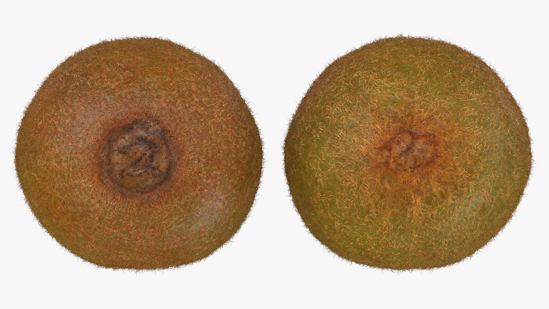 3D Whole Kiwi Collection https://p.turbosquid.com/ts-thumb/Tg/eb6zv4/Os/kiwi01_a0002/jpg/1722708494/1920x1080/fit_q87/da6a557d6d3d023ee4d43621058ed72b6c325ef6/kiwi01_a0002.jpg