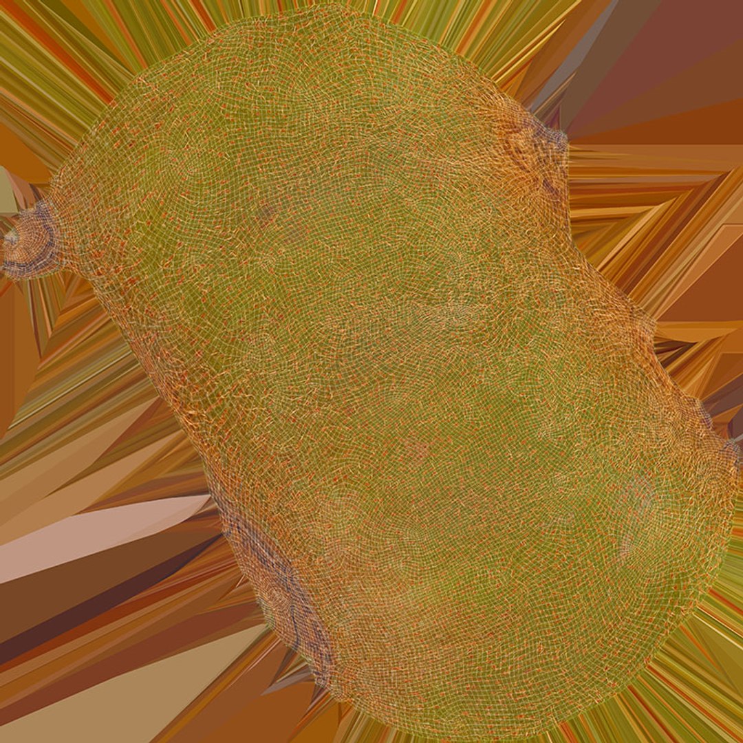 3D Whole Kiwi Collection https://p.turbosquid.com/ts-thumb/Tg/eb6zv4/QN/kiwi02_d0004/jpg/1722710145/1920x1080/fit_q87/e0696b7b28ddab9a42421f9b638ebd95aa4ac712/kiwi02_d0004.jpg